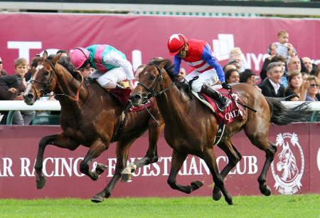 ２０１０年の凱旋門賞で優勝のワークフォース（左）にわずかに及ばず、２着のナカヤマフェスタ＝パリ・ロンシャン競馬場（共同）