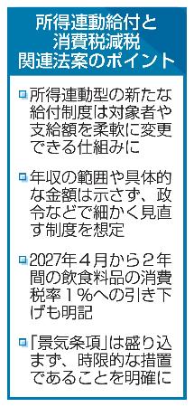 所得連動給付と消費税減税関連法案のポイント