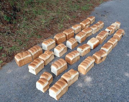 鳥取県の大山隠岐国立公園内の県道に捨てられ、回収された食パン=14日(自然公園財団提供)