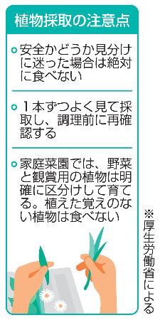 植物採取の注意点