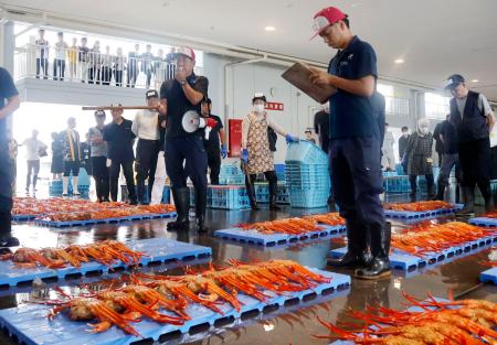 新湊漁港の卸売市場で行われたベニズワイガニの初競り＝１１日午後、富山県射水市