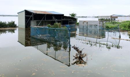 台風２５号の記録的な大雨の影響で堤防が決壊し、水に漬かった印旛沼周辺＝２３日午後、千葉県成田市