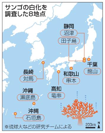 サンゴの白化を調査した8地点