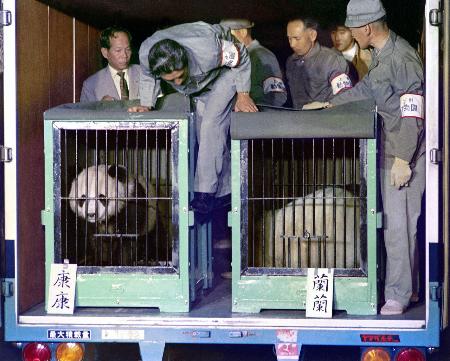 １９７２年１０月２８日、「日中友好の証し」として中国からジャイアントパンダのカンカン（左）とランランが東京・上野動物園に到着
