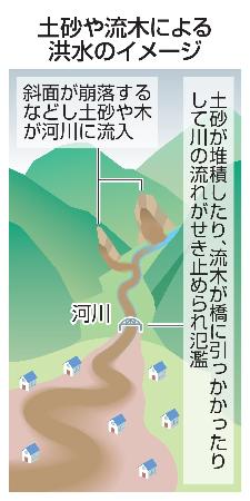 土砂や流木による洪水のイメージ