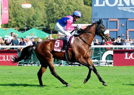 第１０５回凱旋門賞で１４着だった武豊騎乗のメイショウタバル＝パリロンシャン競馬場（共同）