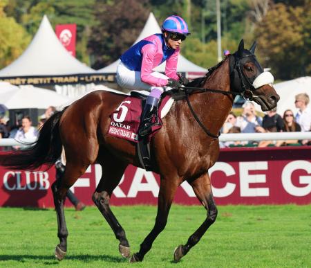 　第１０５回凱旋門賞で１４着だった武豊騎乗のメイショウタバル＝パリロンシャン競馬場（共同）