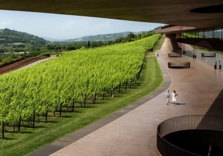 ワイナリー「アンティノリ」の建物とブドウ畑=イタリア・フィレンツェ近郊(Marchesi Antinori Press提供、ロイター=共同)