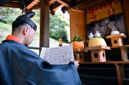 　橘本神社で営まれた「みかん祭」＝１１日午後、和歌山県海南市
