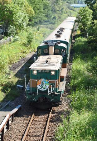 釧網線の「くしろ湿原ノロッコ号」＝２０１９年９月、北海道釧路町
