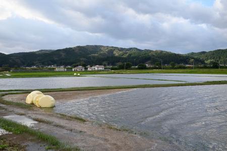 冠水した農地=22日午前7時35分、秋田県由利本荘市