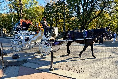 米ニューヨーク中心部のセントラルパークの観光客向け馬車＝２２日（共同）